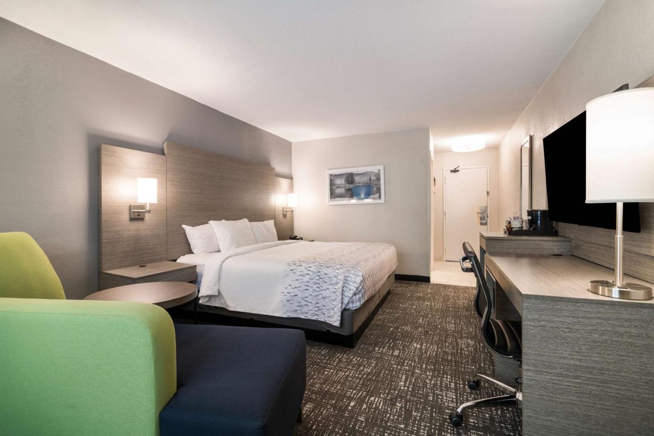 Best Western Plymouth Inn-White Mountains Campton Exteriör bild